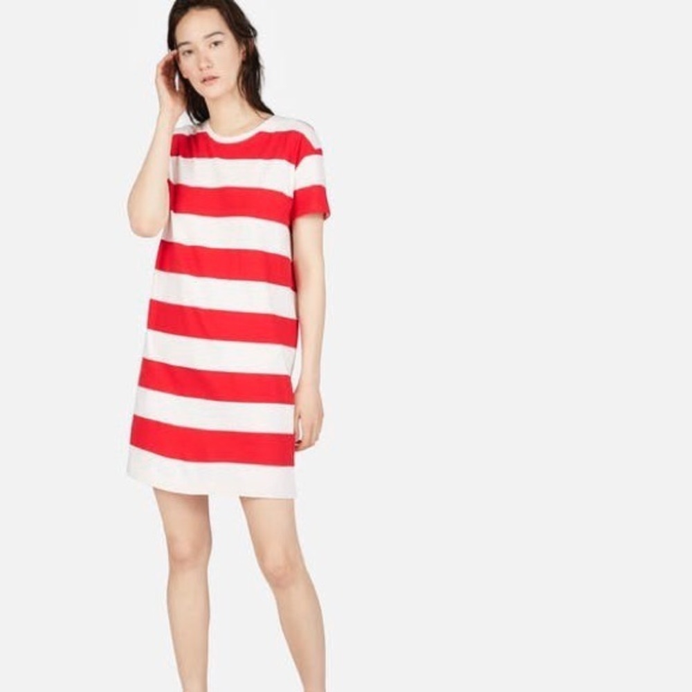 Everlane Shirt Dress